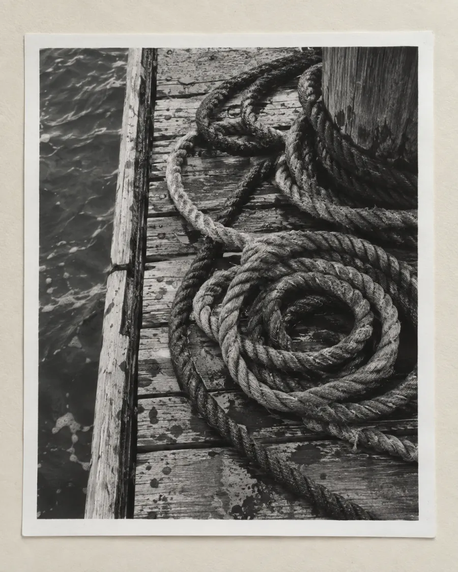 A black-and-white photograph of wet ropes coiled on the planks of a wooden pier beside dark water